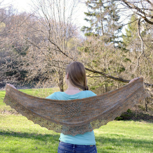 Artifact Shawlette