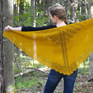 Burning Leaves Shawl