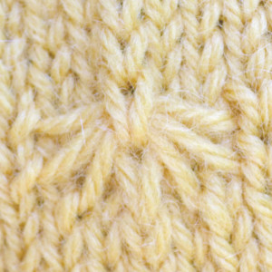Honeybee Cap and Beret