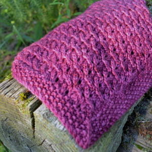 Loganberry Cowl