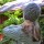 Autumn Flora Hat