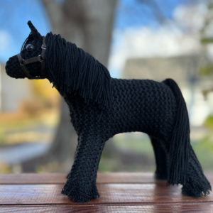 Fritz the Friesian